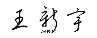 梁錦英王新宇草書個性簽名怎么寫