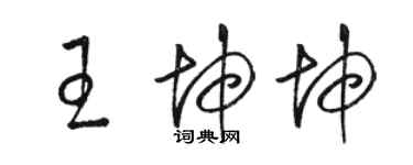 駱恆光王坤坤草書個性簽名怎么寫