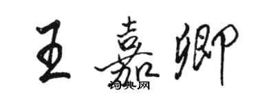 駱恆光王嘉卿行書個性簽名怎么寫