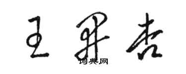 駱恆光王開杏草書個性簽名怎么寫