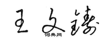 駱恆光王文鑄草書個性簽名怎么寫