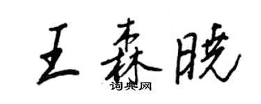王正良王森曉行書個性簽名怎么寫