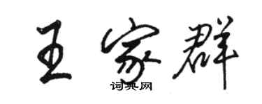 駱恆光王家群行書個性簽名怎么寫