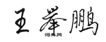 駱恆光王舉鵬行書個性簽名怎么寫