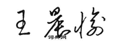 駱恆光王晨愉草書個性簽名怎么寫