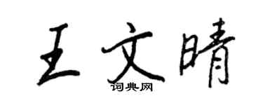 王正良王文晴行書個性簽名怎么寫