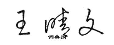 駱恆光王晴文草書個性簽名怎么寫
