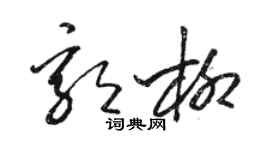 駱恆光郭柳草書個性簽名怎么寫