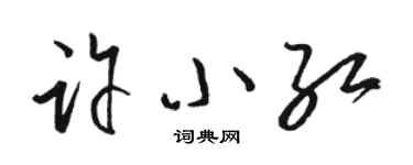 駱恆光許小紅草書個性簽名怎么寫