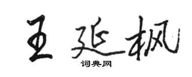 駱恆光王延楓行書個性簽名怎么寫