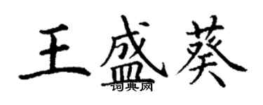 丁謙王盛葵楷書個性簽名怎么寫