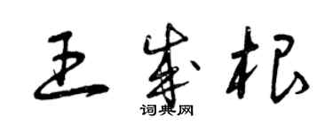 曾慶福王成根草書個性簽名怎么寫