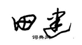 朱錫榮田建草書個性簽名怎么寫