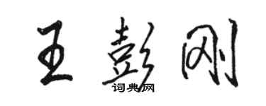 駱恆光王彭剛行書個性簽名怎么寫