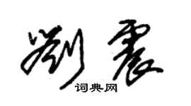 朱錫榮劉震草書個性簽名怎么寫