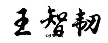 胡問遂王智韌行書個性簽名怎么寫