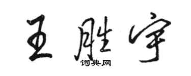 駱恆光王勝宇行書個性簽名怎么寫