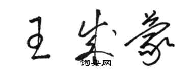 駱恆光王成蒙草書個性簽名怎么寫