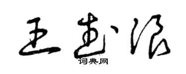 曾慶福王武浪草書個性簽名怎么寫