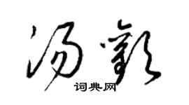 梁錦英湯歡草書個性簽名怎么寫