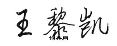 駱恆光王黎凱行書個性簽名怎么寫