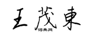 王正良王茂東行書個性簽名怎么寫