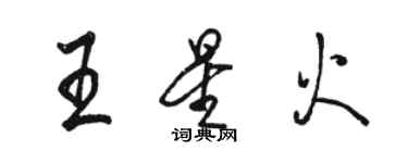 駱恆光王星火行書個性簽名怎么寫