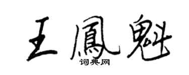 王正良王鳳魁行書個性簽名怎么寫
