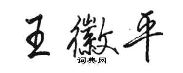 駱恆光王徽平行書個性簽名怎么寫
