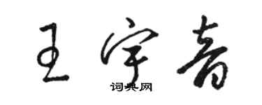 駱恆光王宇音草書個性簽名怎么寫