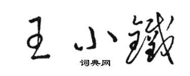 駱恆光王小鐵草書個性簽名怎么寫