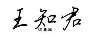 王正良王知君行書個性簽名怎么寫