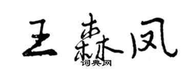 曾慶福王森鳳行書個性簽名怎么寫
