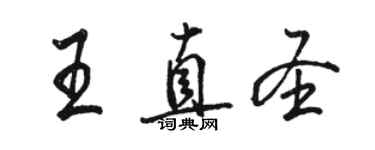 駱恆光王直聖行書個性簽名怎么寫
