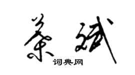 梁錦英葉斌草書個性簽名怎么寫