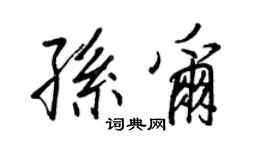 王正良孫爾行書個性簽名怎么寫