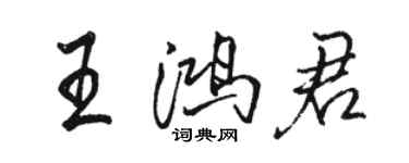 駱恆光王鴻君行書個性簽名怎么寫