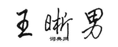 駱恆光王晰男行書個性簽名怎么寫