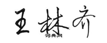 駱恆光王林齊行書個性簽名怎么寫