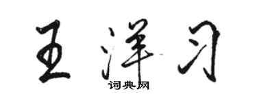 駱恆光王洋習行書個性簽名怎么寫