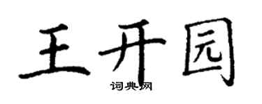 丁謙王開園楷書個性簽名怎么寫