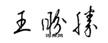梁錦英王盼勝草書個性簽名怎么寫