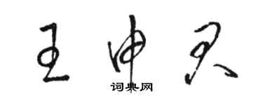 駱恆光王申君草書個性簽名怎么寫