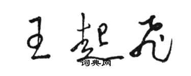 駱恆光王起飛草書個性簽名怎么寫