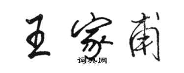 駱恆光王家甫行書個性簽名怎么寫