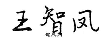 曾慶福王智鳳行書個性簽名怎么寫