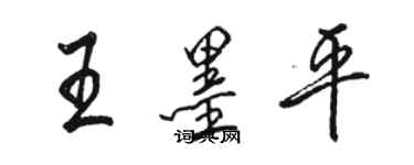 駱恆光王墨平行書個性簽名怎么寫