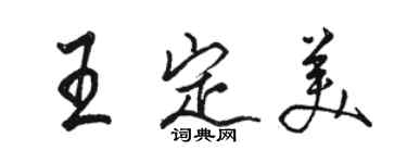 駱恆光王定美行書個性簽名怎么寫