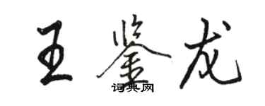 駱恆光王鑑龍行書個性簽名怎么寫