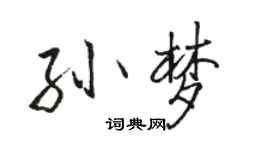 駱恆光孫夢行書個性簽名怎么寫